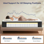 Queen Mattress 12-inch Queen Hybrid Mattress