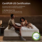 Queen Mattress 12 Inch Queen Mattress in a Box with Memory Foam for Extra Lumbar Support