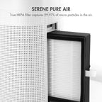 Sorbi 1000ml Air Dehumidifier w/Purifying Function, True HEPA Filter, Auto Shutoff, Touch Control Adjustable Air Speed, Ultra-Quiet, Ideal for Closets & Bathrooms