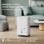 Waykar 2000 Sq Ft Dehumidifier for Home and Basements with Auto or Manual Drainage