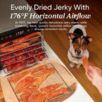 COSORI Food Dehydrator Bigger Than 7 Trays With Large 6.5 Drying Space 600W Power