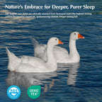 PACIFIC COAST Goose Feather Down Comforters Queen Size, 100% Cotton Extra Fluffy White Duvet Insert, Soft, Breathable, All Season Hotel Luxury Bedding Comforters, 8 Corner & Center Loops (90x90)