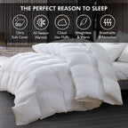 Baffle Box Design Comforter Duvet