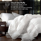 Baffle Box Design Comforter Duvet