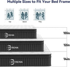 Queen Mattress 12-inch Queen Hybrid Mattress