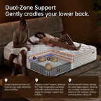 Queen Mattress 12 Inch Queen Mattress in a Box with Memory Foam for Extra Lumbar Support