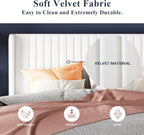 Allewie Full Size Velvet Bed Frame Vertical Channel Tufted Wingback Headboard Upholstered Bed