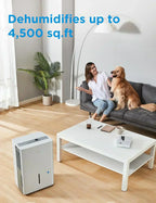 Midea 4,500 Sq. Ft. Dehumidifier Pump Included Energy Star Certified 50 Pint Ideal For Basements