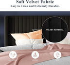 Allewie Full Size Velvet Bed Frame Vertical Channel Tufted Wingback Headboard Upholstered Bed