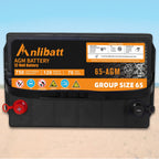 Anlibatt BCI Group 49 Battery, AGM 12 Volt Rechargeable Automotive Batteries for Car, H8 900CCA 95Ah 160RC Maintenance Free