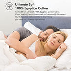 Baffle Box Design Comforter Duvet
